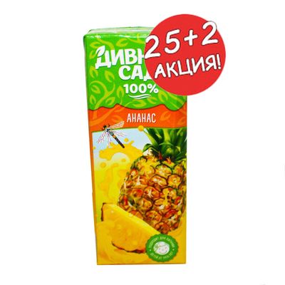 Нектар Дивный Сад ананасовый 0,2л тетрапак АКЦИЯ 25+2